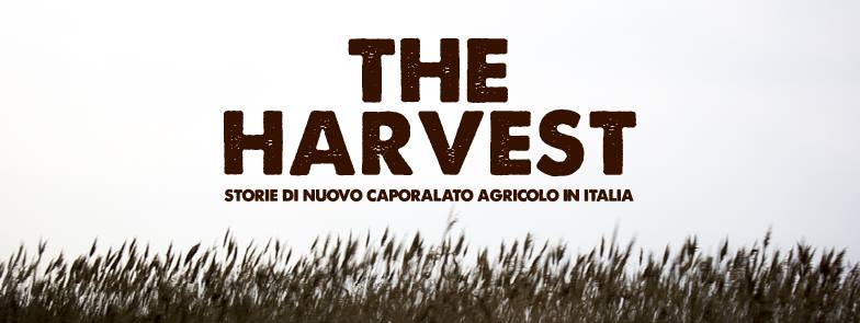 Presentazione “The Harvest”