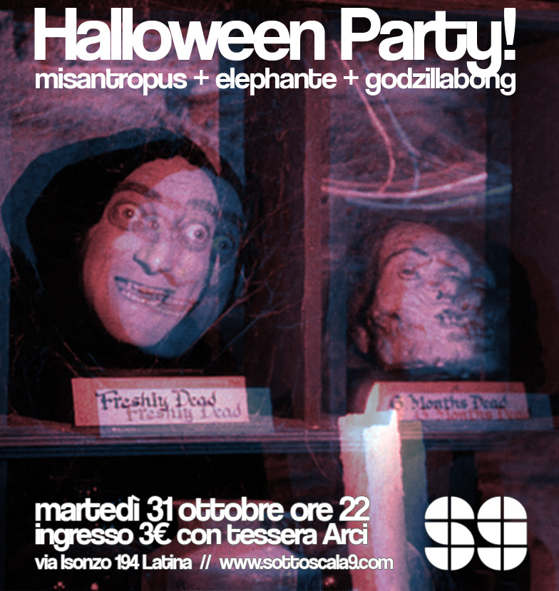 MISANTROPUS + ELEPHANTE + GODZILLABONG